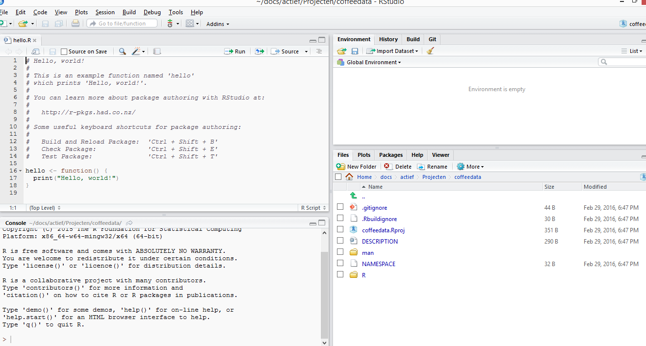 image of standard rstudio project